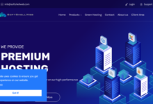 SoftShellWeb Coupon Code - 1G KVM NVMe VPS from $1.50/mo in US and EU-Waikey