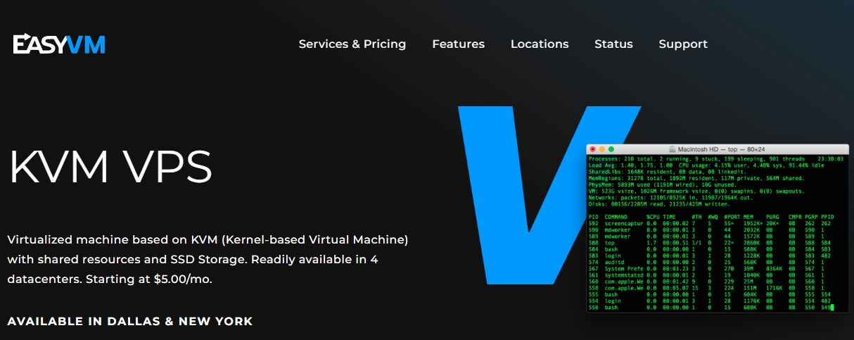 easyvm vps black friday 2023