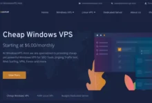 WindowsVPS.Host – Cheap Windows VPS in USA, Germany and Netherland-Waikey