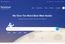 Tetahost Coupon Code - Get 20% off recurring for KVM VPS in Germany-Waikey