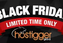 🛒Black Friday🛒 Hostigger Special Offer: Get 50% Discount on Europe / North America VPS-Waikey