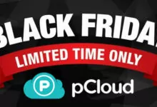 🛒Black Friday🛒 pCloud Special Offer: Get 75% Off Lifetime Deals-Waikey