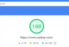 How to Get 100% GTmetrix Scores and 100% PageSpeed Insights-Waikey